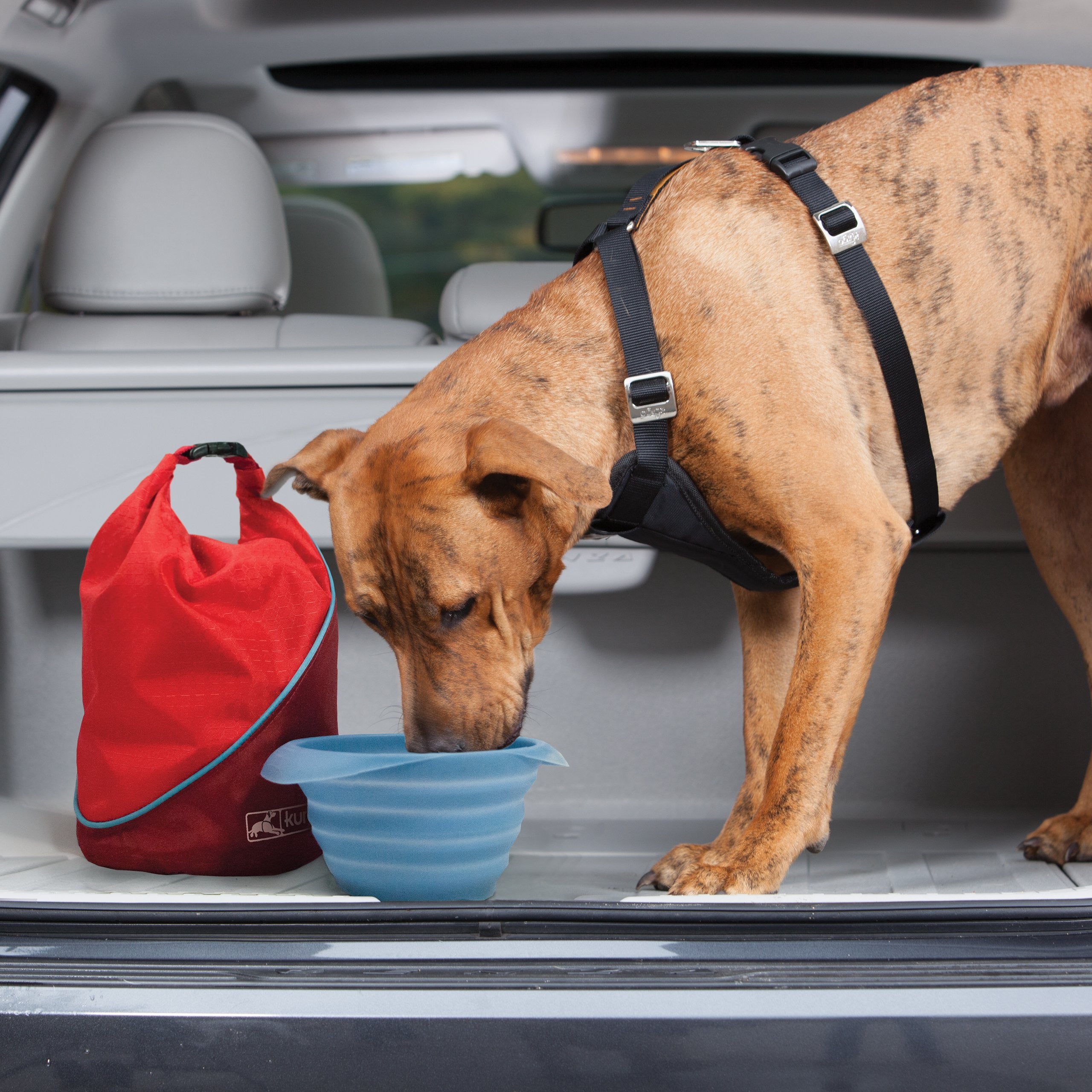 Kurgo Kibble Carrier in its chili red color.