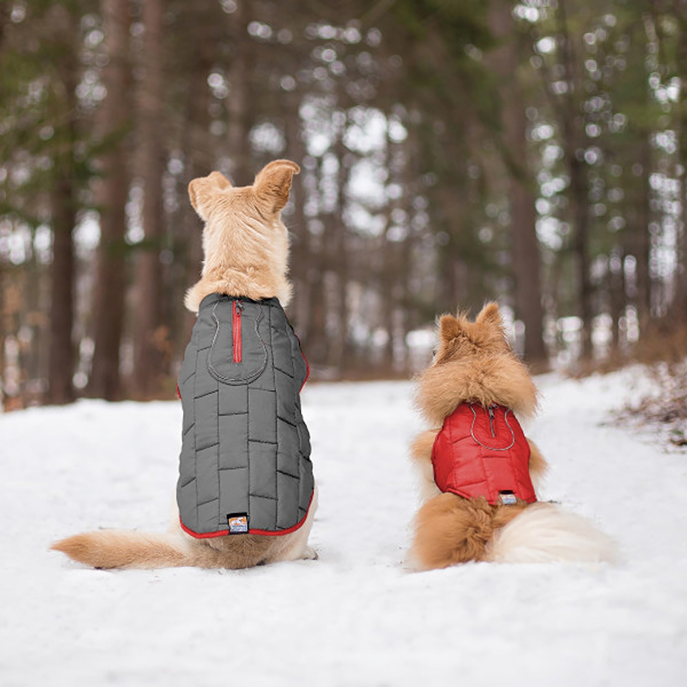Kurgo Loft Dog Jacket detail showing its adjustable side closures.