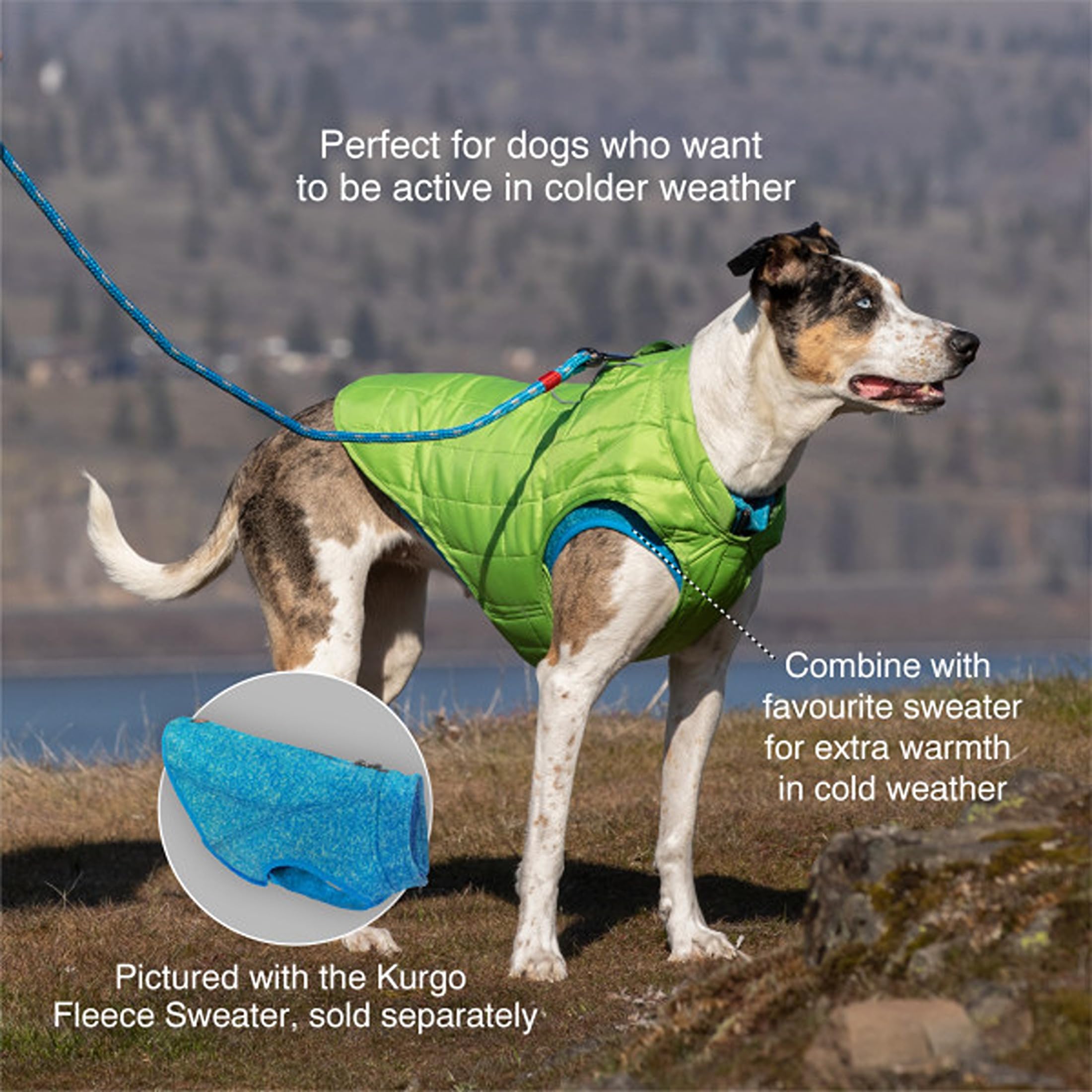 Kurgo Loft Dog Jacket close-up of the back zipper opening for leash access.