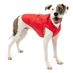 Kurgo Loft Dog Jacket shown from the front in chili red and charcoal.