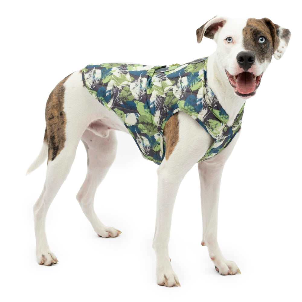Kurgo Loft Dog Jacket shown from the front in the Pressed Leaf colorway.