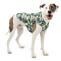 Kurgo Loft Dog Jacket shown from the front in the Pressed Leaf colorway.