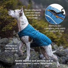 Kurgo Loft Dog Jacket worn by a dog on an outdoor walk.