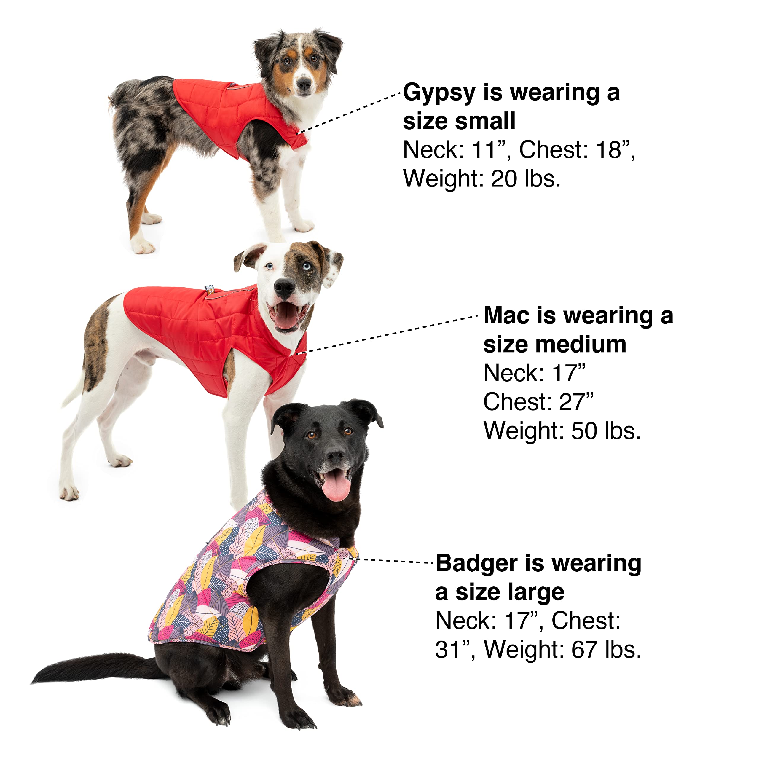 Kurgo Loft Dog Jacket worn by a dog during an outdoor outing.
