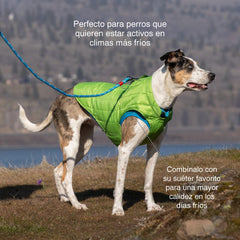 Kurgo Loft Dog Jacket close-up showing its reflective piping.