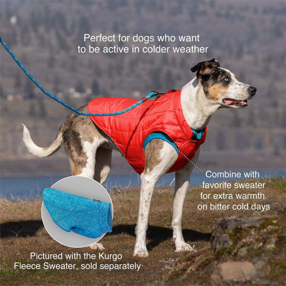 Kurgo Loft Dog Jacket detail showing the reflective accents.