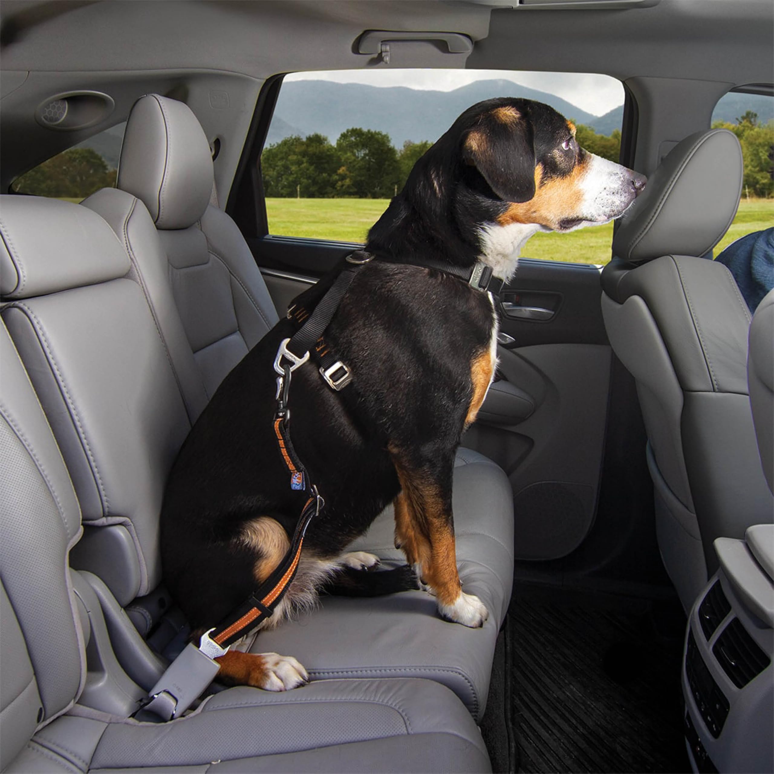 Kurgo seatbelt swivel tether adjustable strap shown up close.