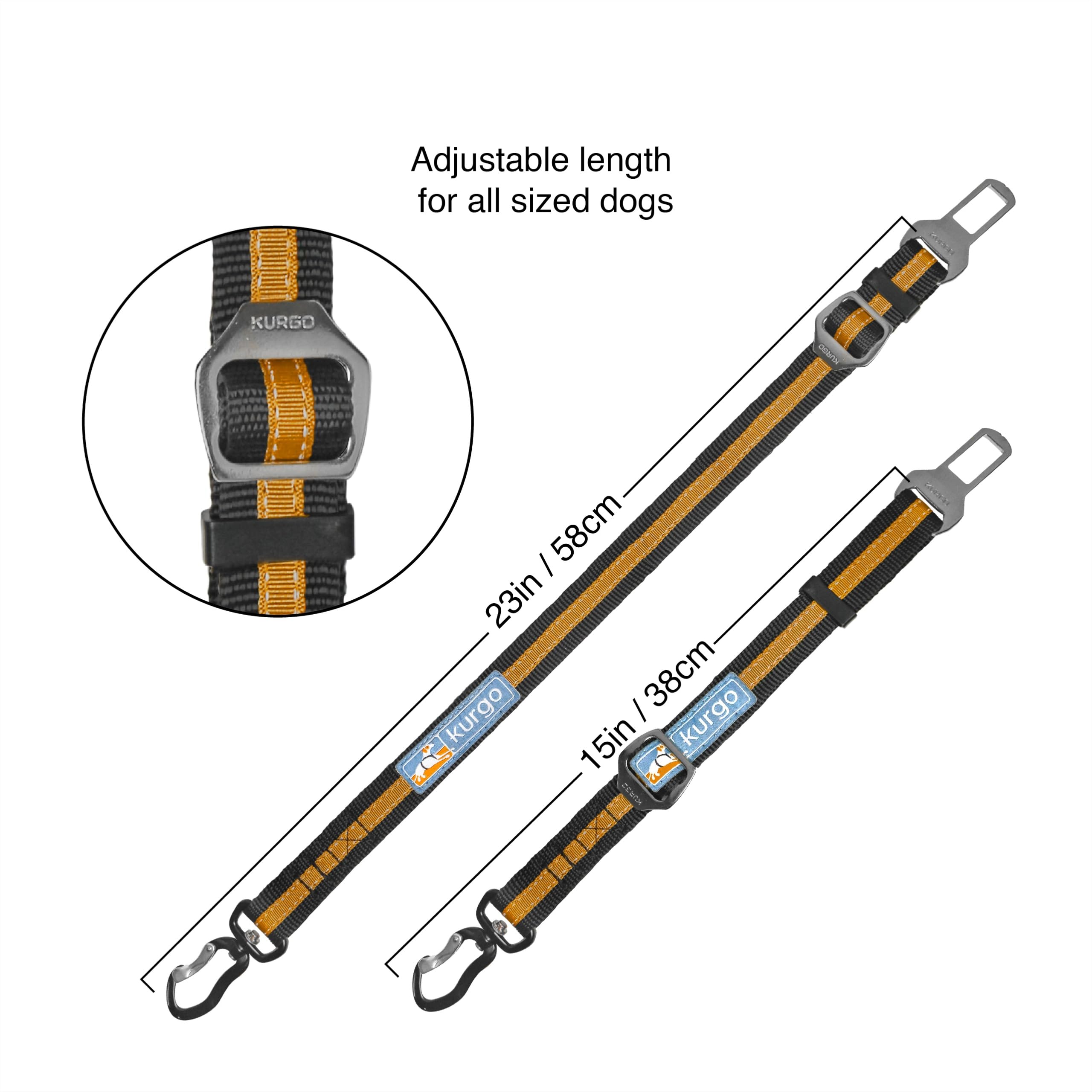 Kurgo seatbelt swivel tether clipped to a dog harness in the backseat.