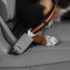 Kurgo seatbelt swivel tether vehicle buckle connector shown in detail.