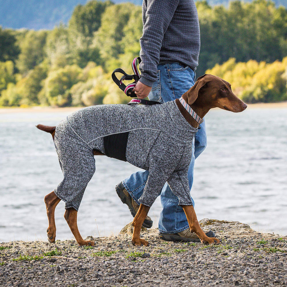 Kurgo Stowe Base Layer view showing its open belly design and full-body sleeves.