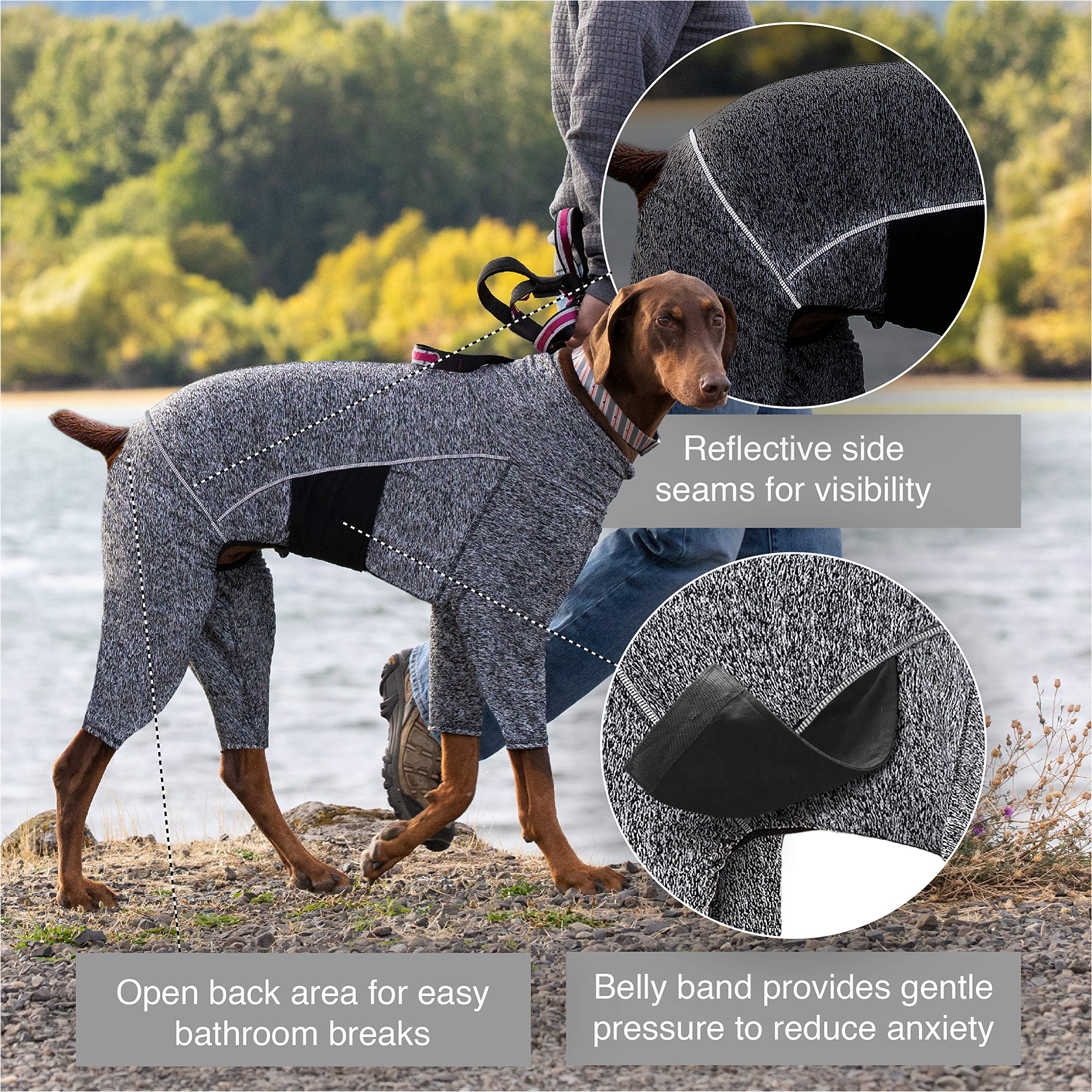 Kurgo Stowe Base Layer shown being worn by a dog.
