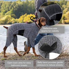 Kurgo Stowe Base Layer shown being worn by a dog.