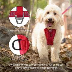 Kurgo Tru-Fit Smart Harness close-up of the front No-Pull D-ring.