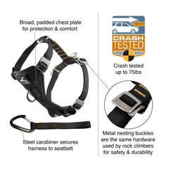 Kurgo Tru-Fit Smart Harness detail showing its broad padded chest plate.