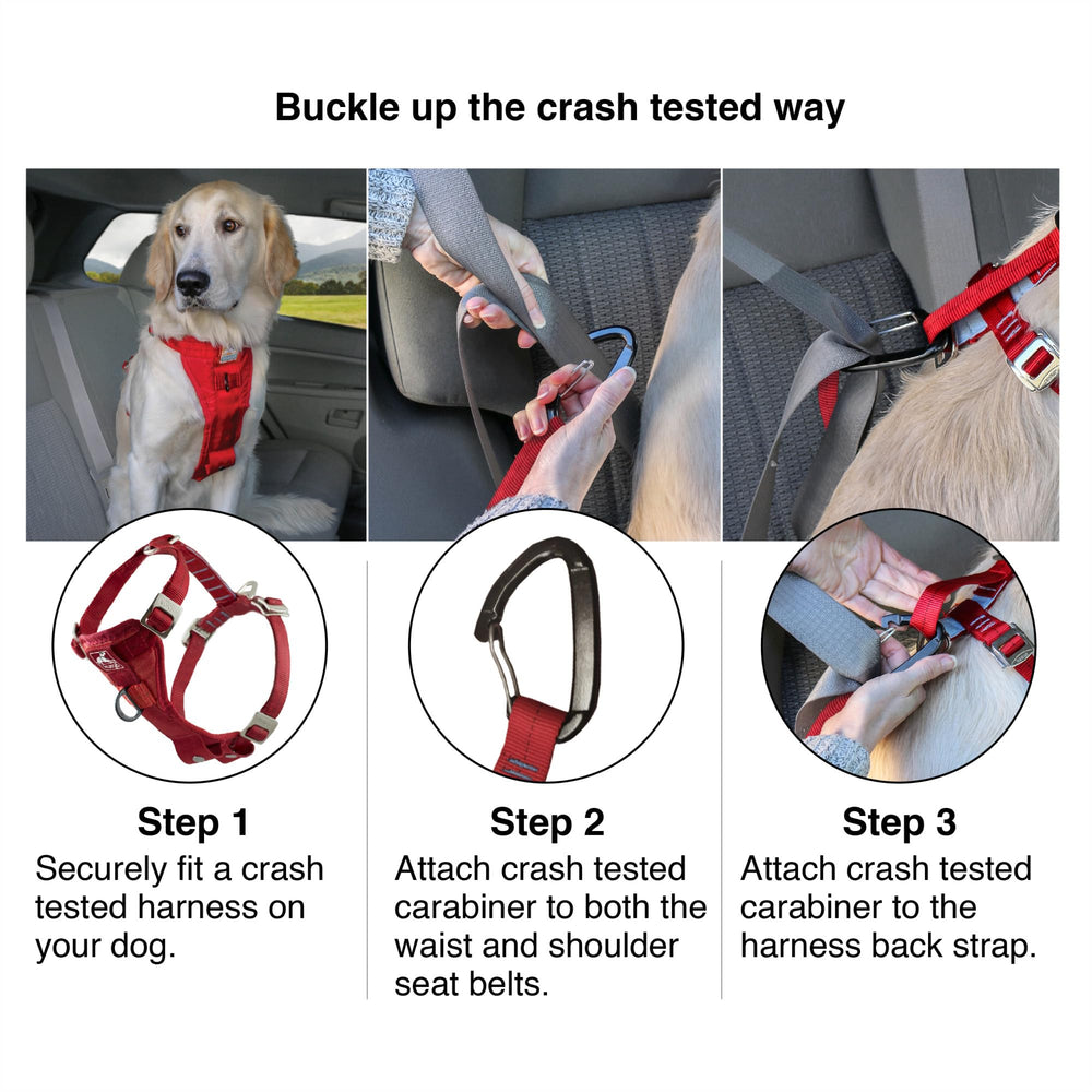 Kurgo Tru-Fit Smart Harness showing its rear leash attachment point.