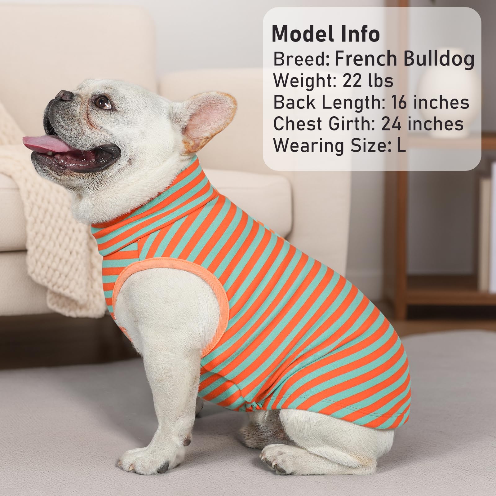 KYEESE dog coat detail showing the high-cut belly and elastic construction.