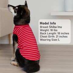 KYEESE dog coat shown in the basic stripe pattern.