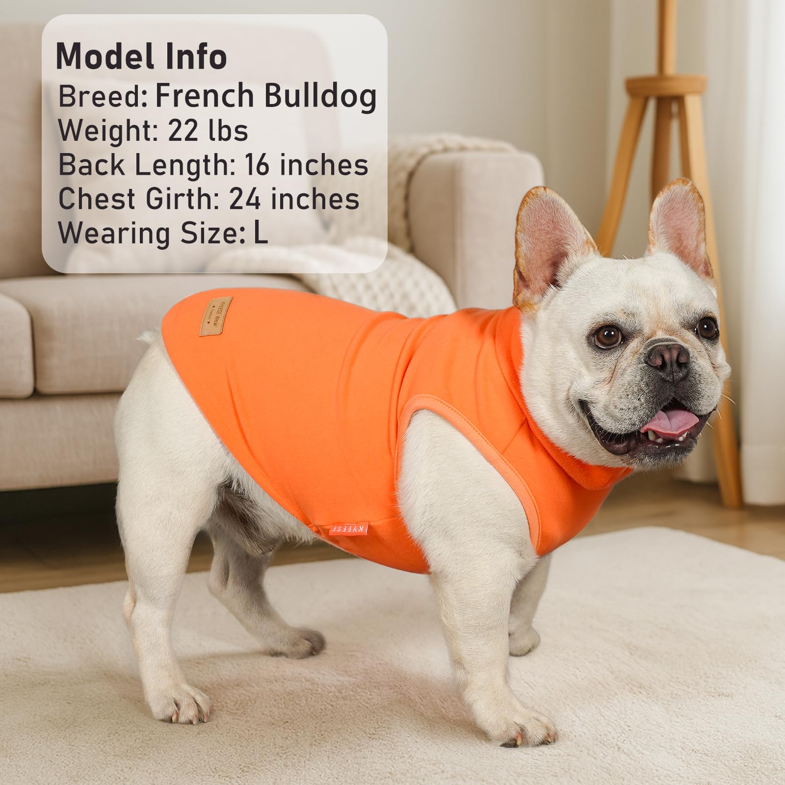 KYEESE dog coat set showing the solid color and striped styles together.