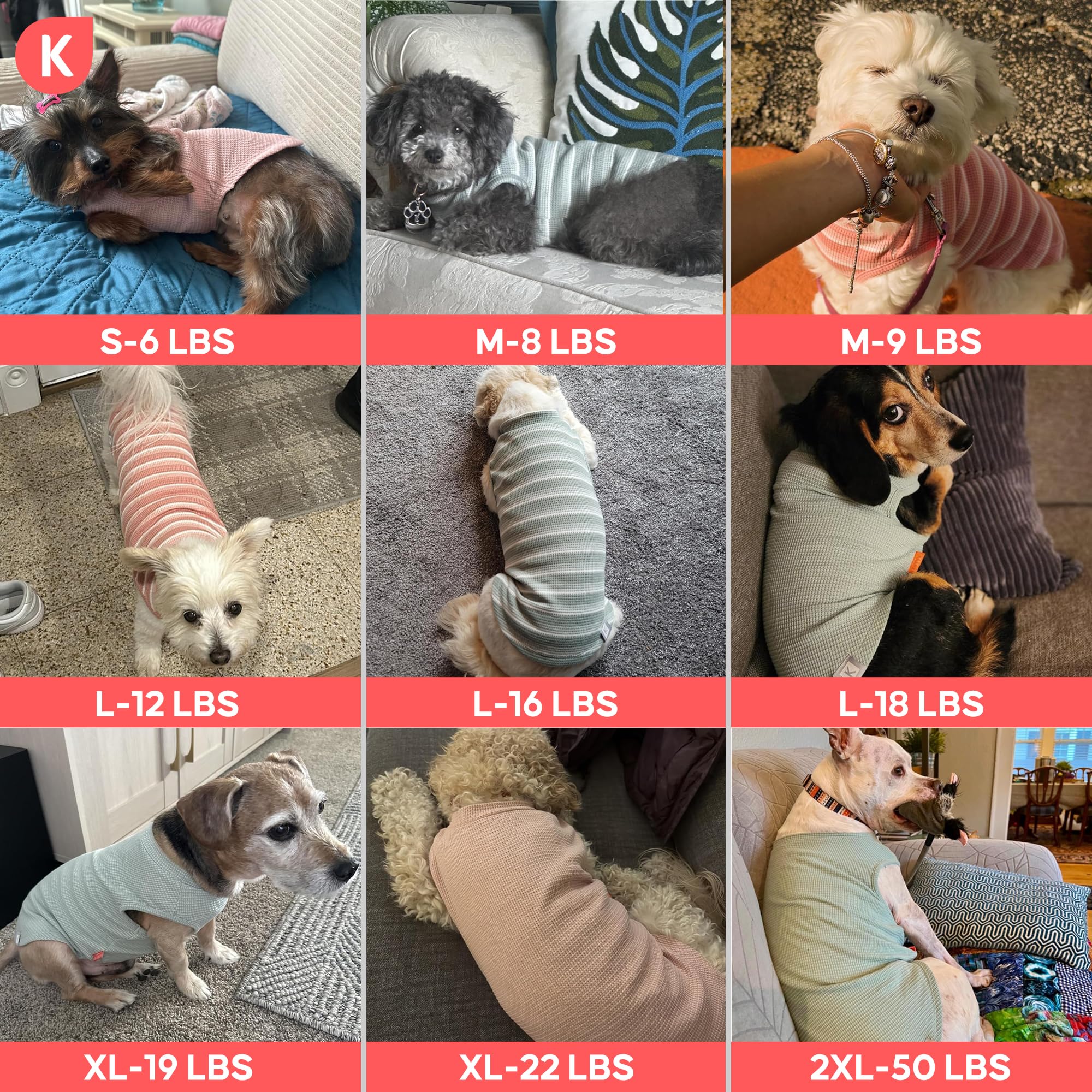 KYEESE dog shirt shown on a dog during outdoor wear.