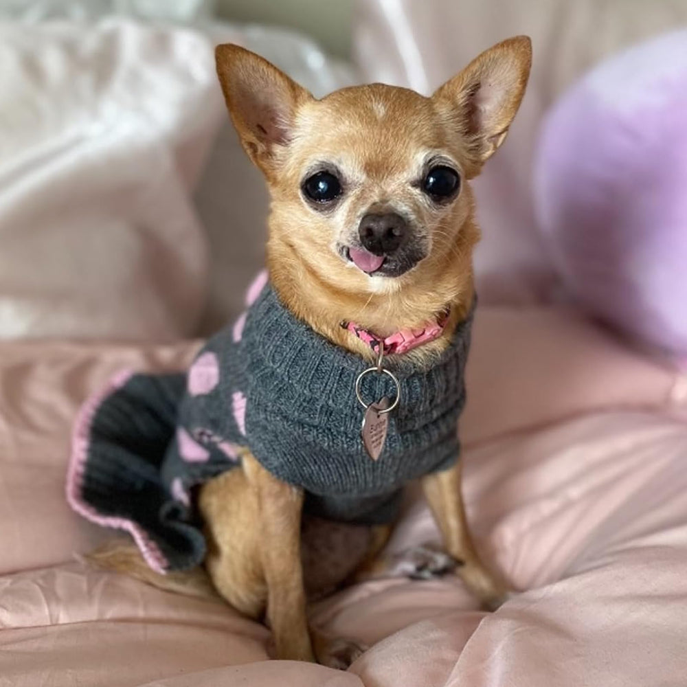 Leash opening on the KYEESE dog sweater dress.