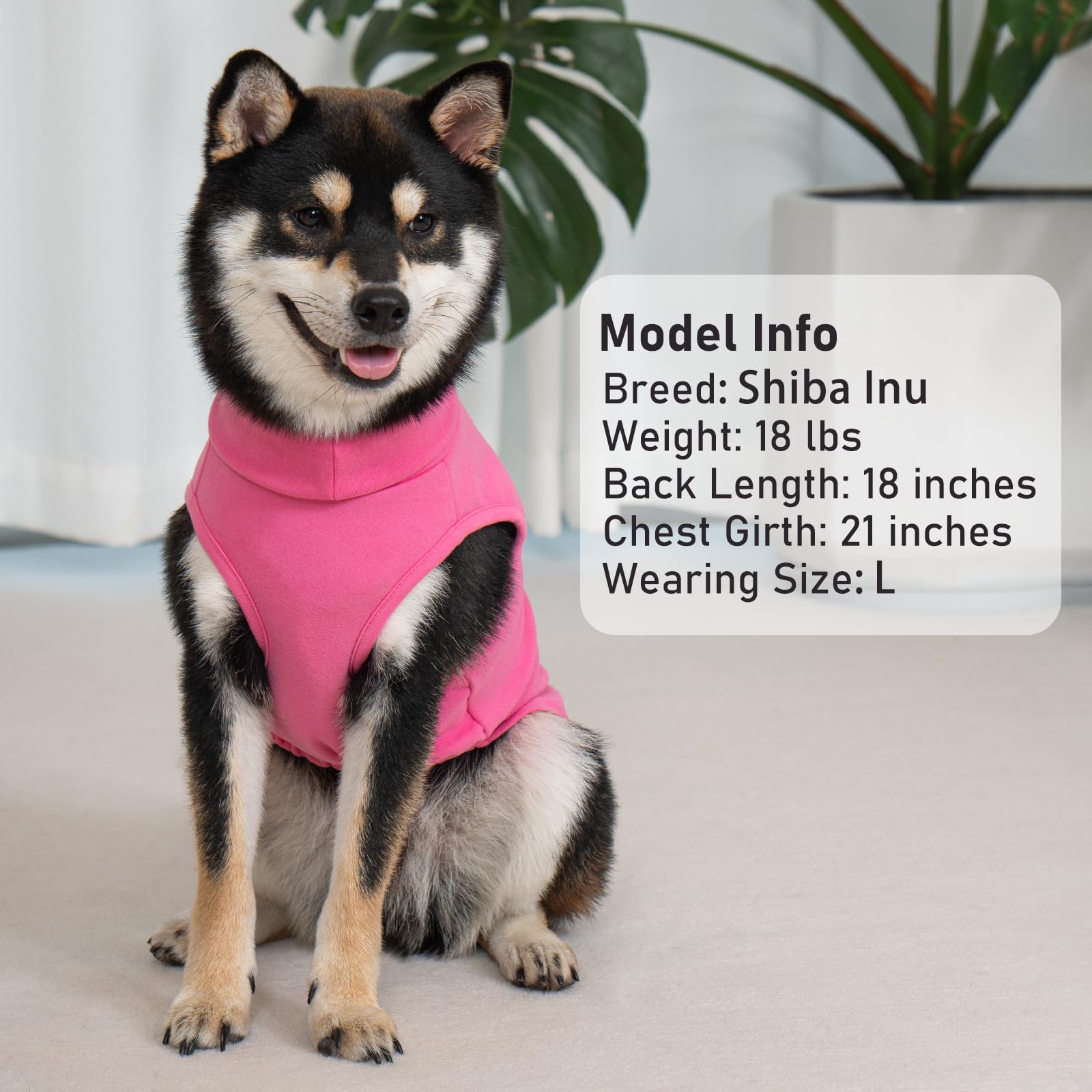 KYEESE dog sweater shown on a small dog for indoor daily wear.