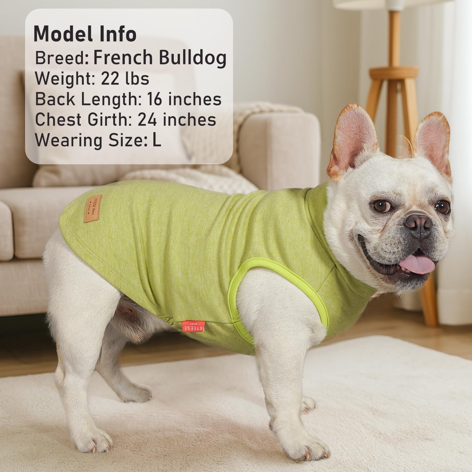 KYEESE dog sweater shown for everyday indoor wear.