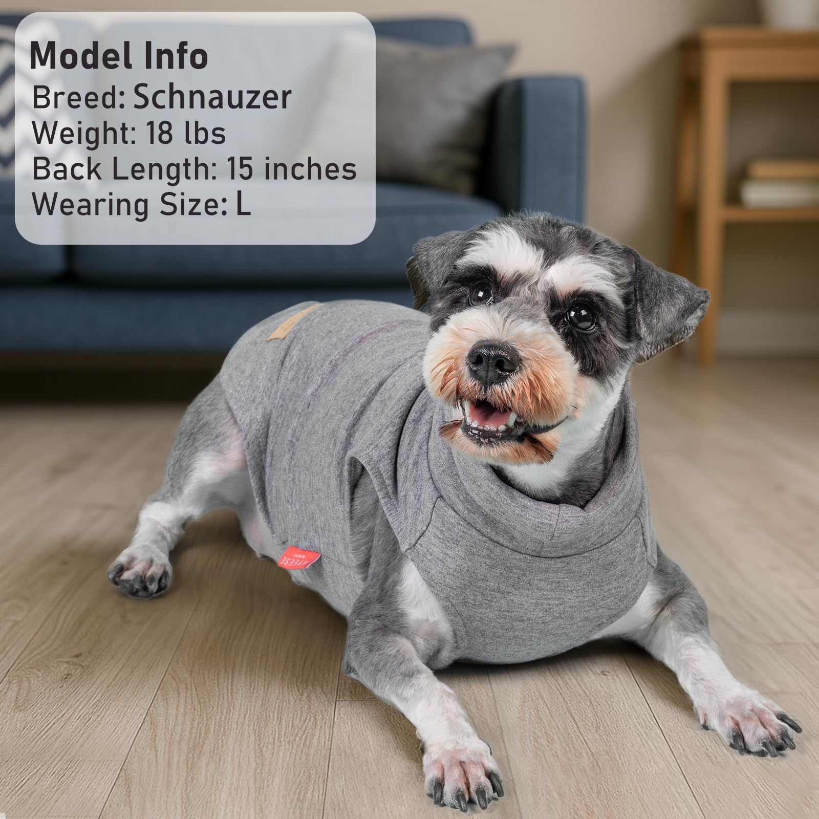 KYEESE dog sweater shown as a base layer beneath a jacket.