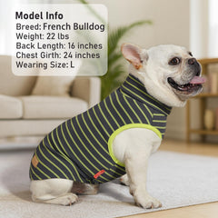 KYEESE dog sweater in the basic stripe style, shown from the front.