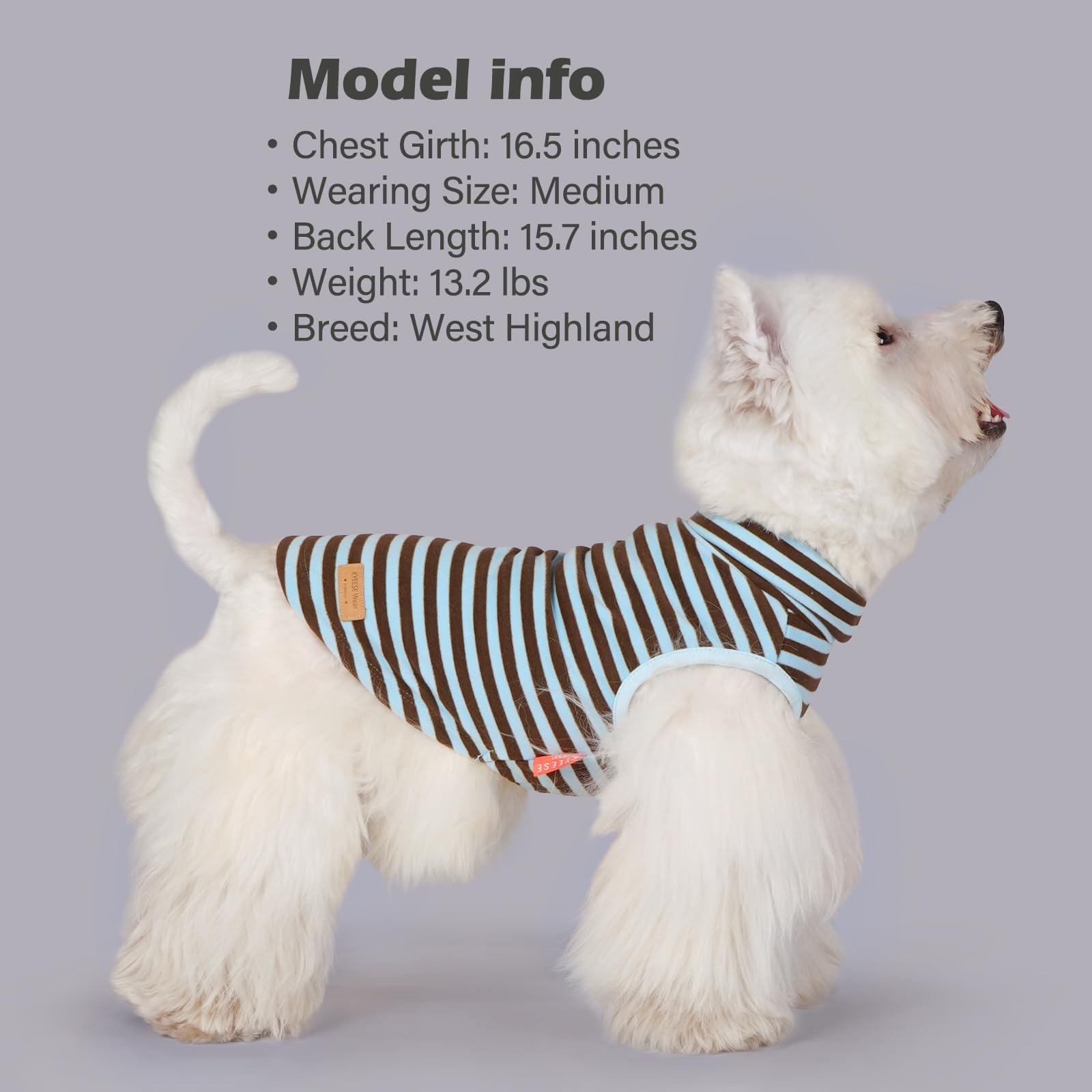 KYEESE dog sweater with its soft velvet fabric in close-up.