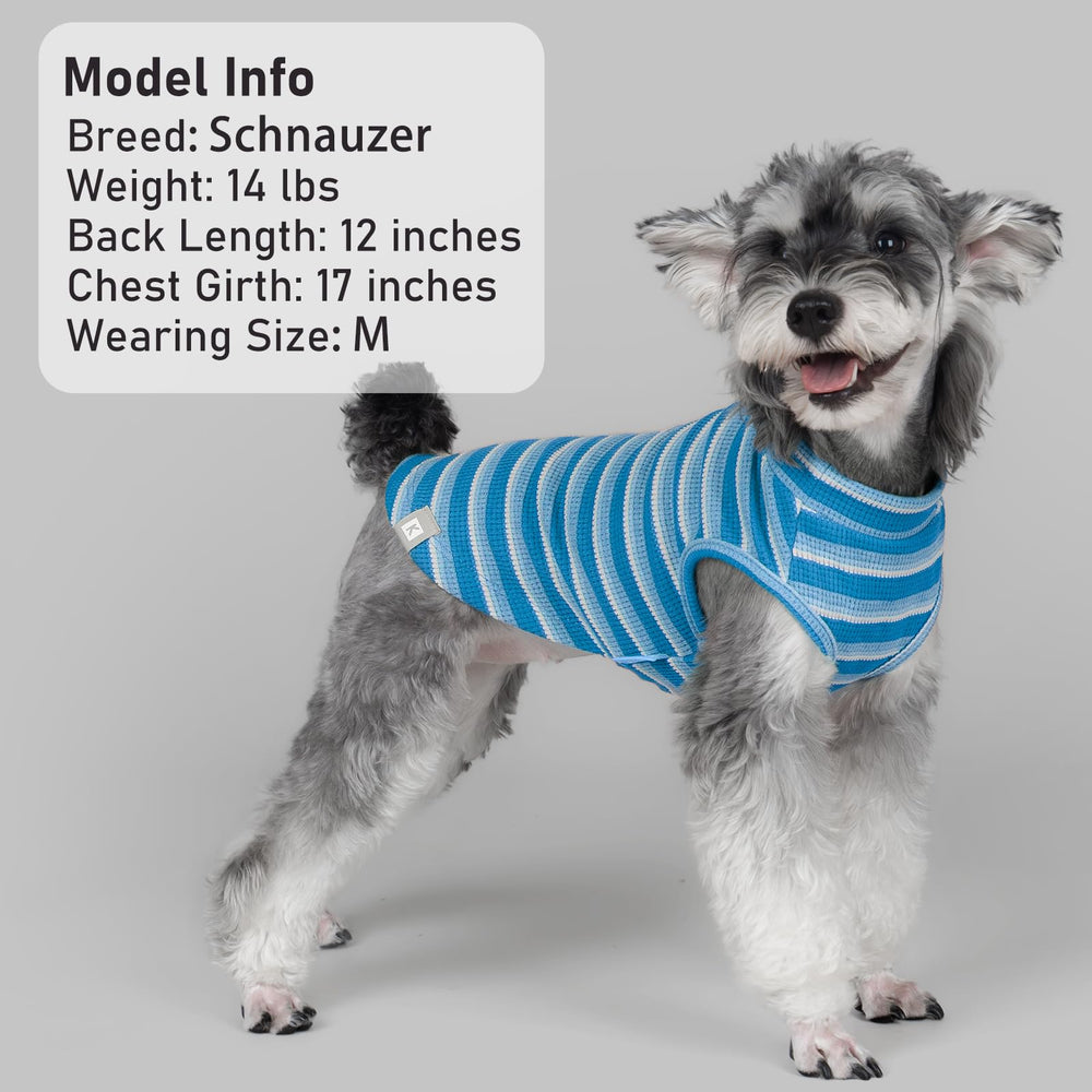 KYEESE dog shirt showing its pull-on design.