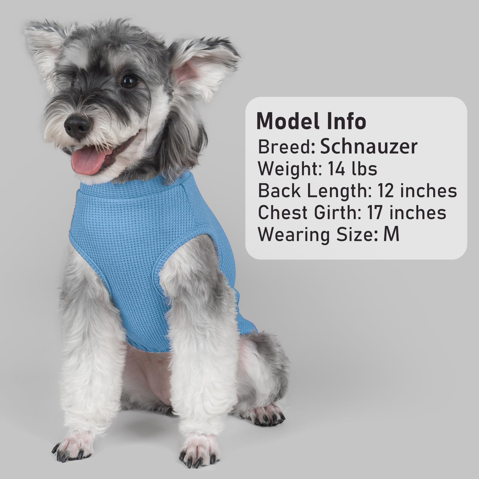 KYEESE waffle dog shirts shown as a two-pack.