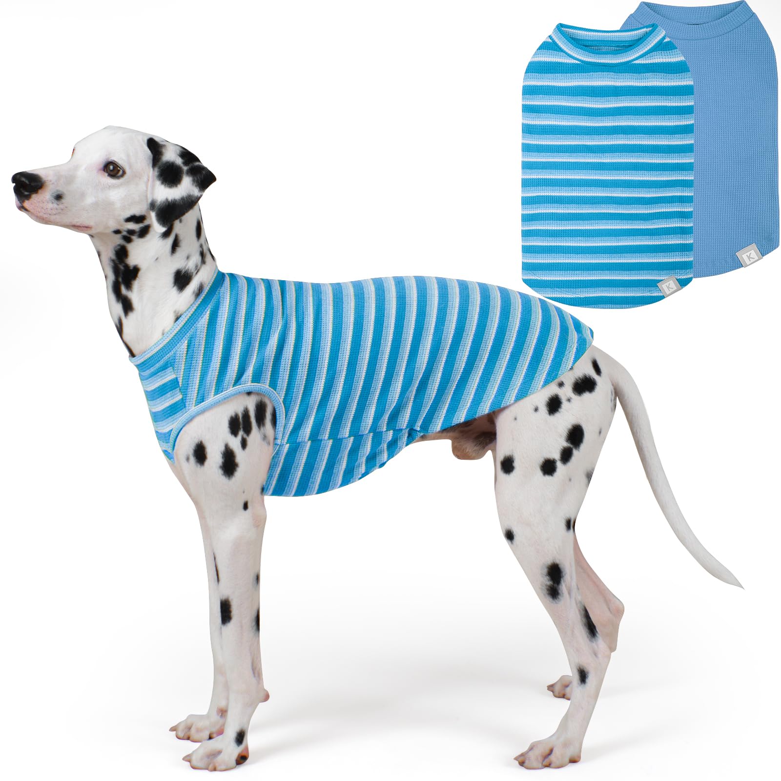 KYEESE waffle dog shirt shown from the front.