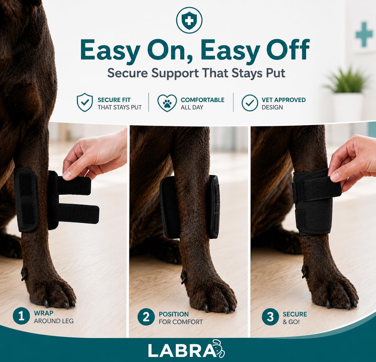 Labra Dog Front Leg Brace adjustable straps shown close up.