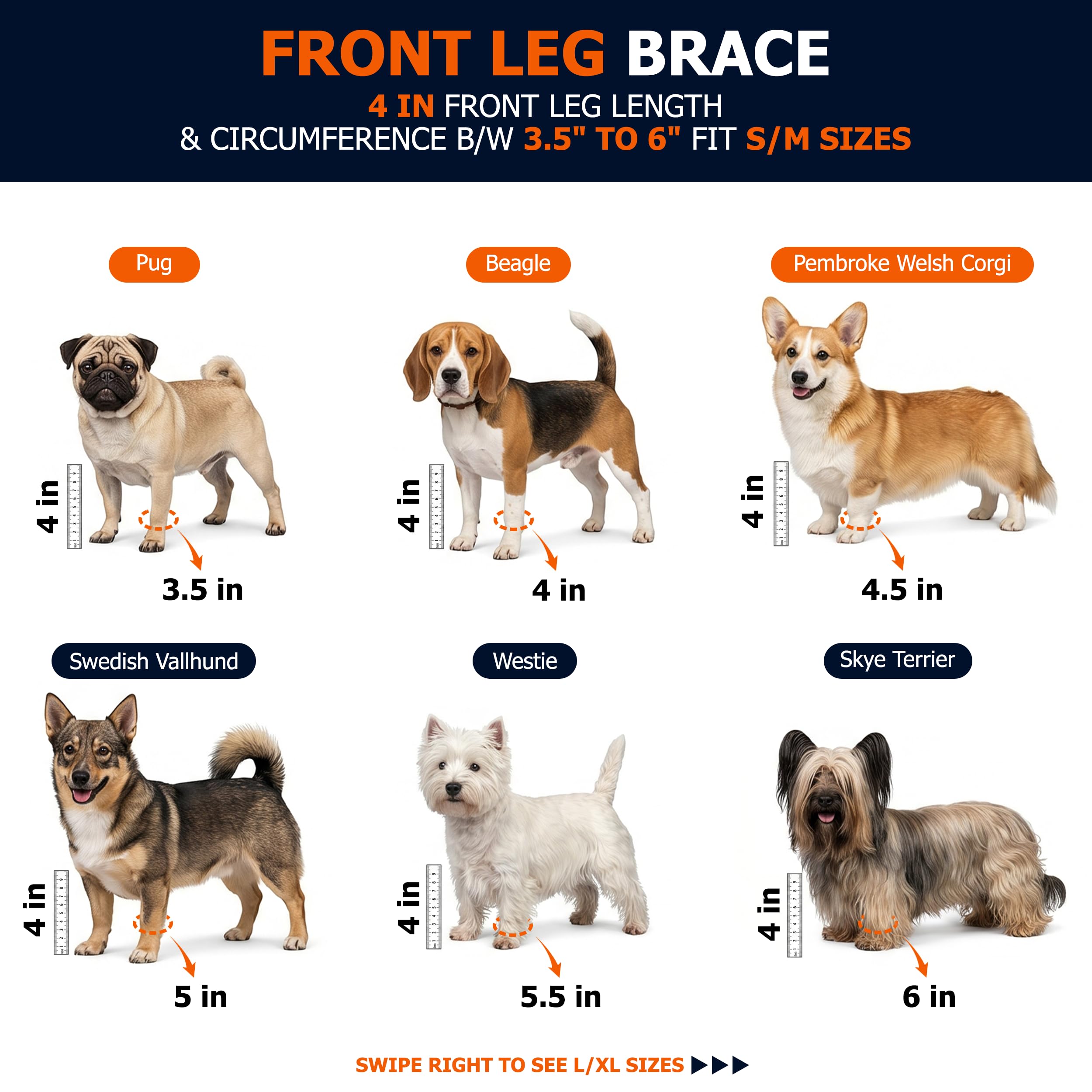 Labra Dog Front Leg Brace shown from a side angle.