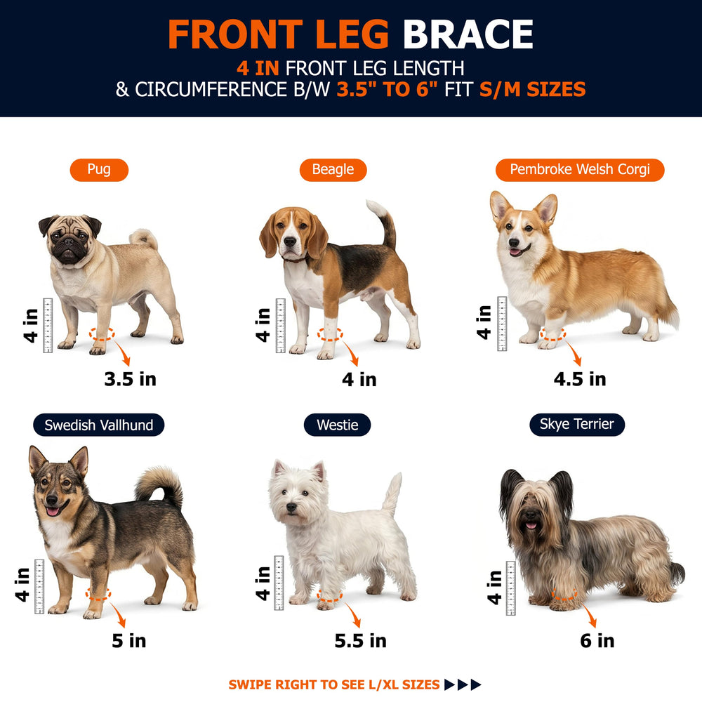 Labra Dog Front Leg Brace shown from a side angle.