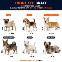 Labra Dog Front Leg Brace shown from a side angle.