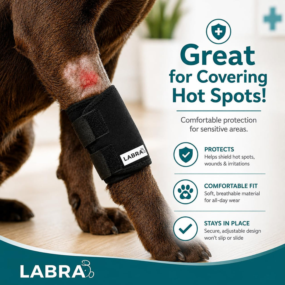 Labra Dog Front Leg Brace wrap fastening shown in detail.