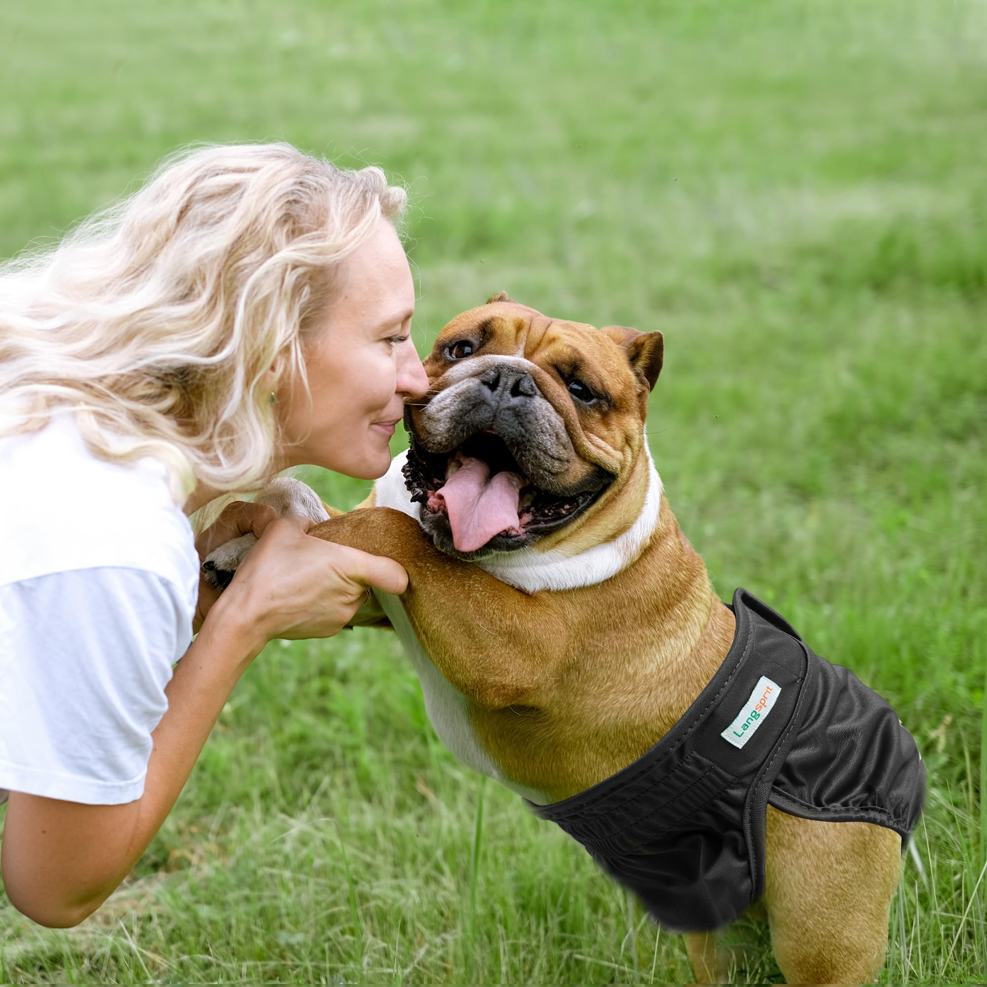 Langsprit female dog diaper shown being worn by a female dog.