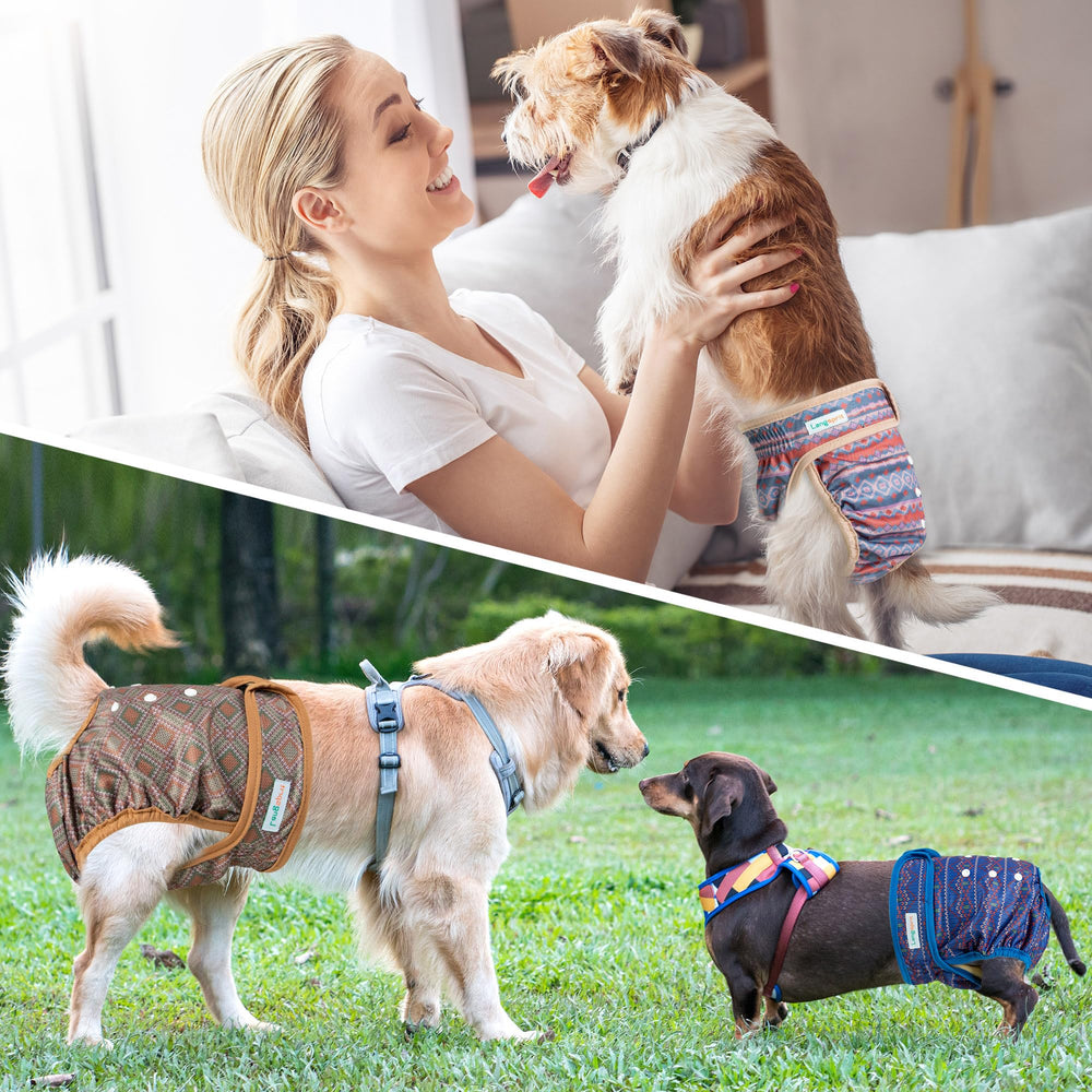 Langsprit female dog diaper shown worn around a dog's waist and tail.