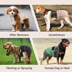 Langsprit female dog diaper shown being worn by a female dog.