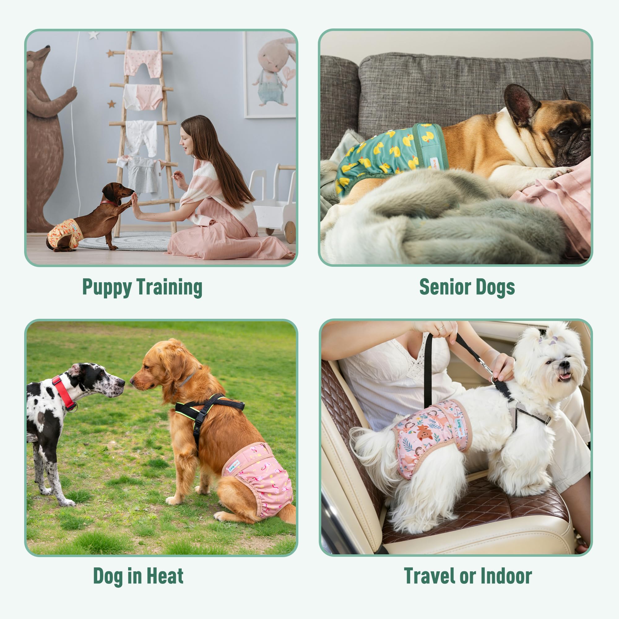 Langsprit female dog diapers displayed as a five-piece pack.