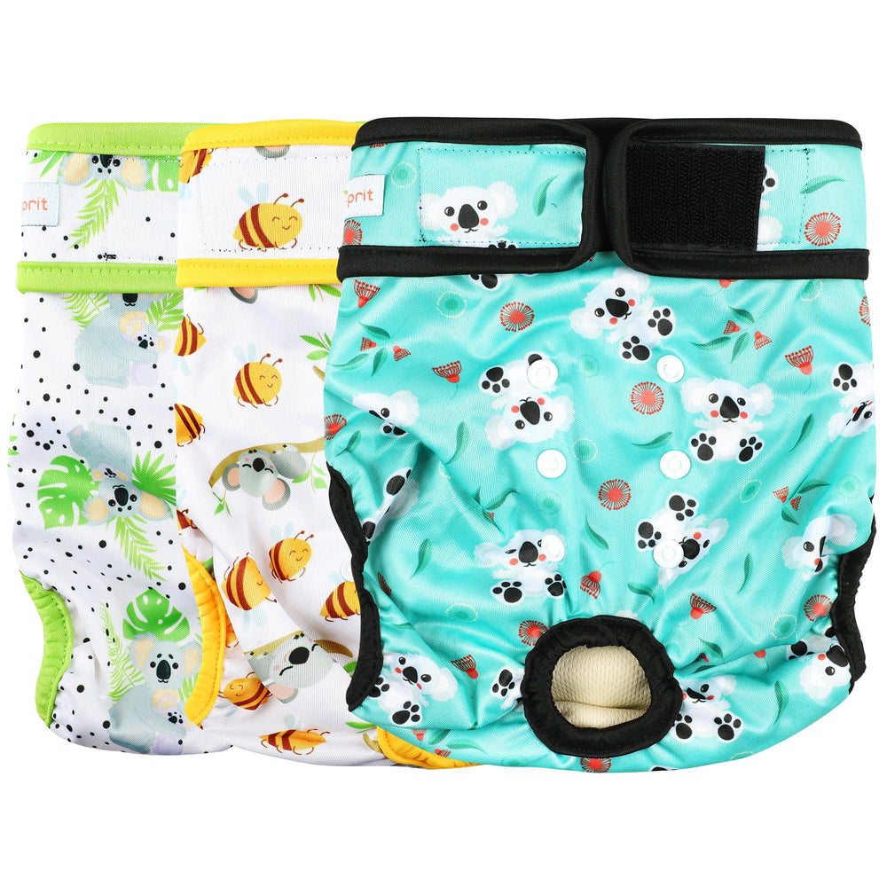 Langsprit female dog diapers shown from the front in the Koala design.