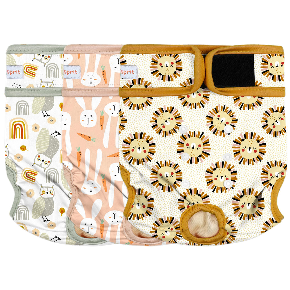 Langsprit female dog diapers shown from the front.