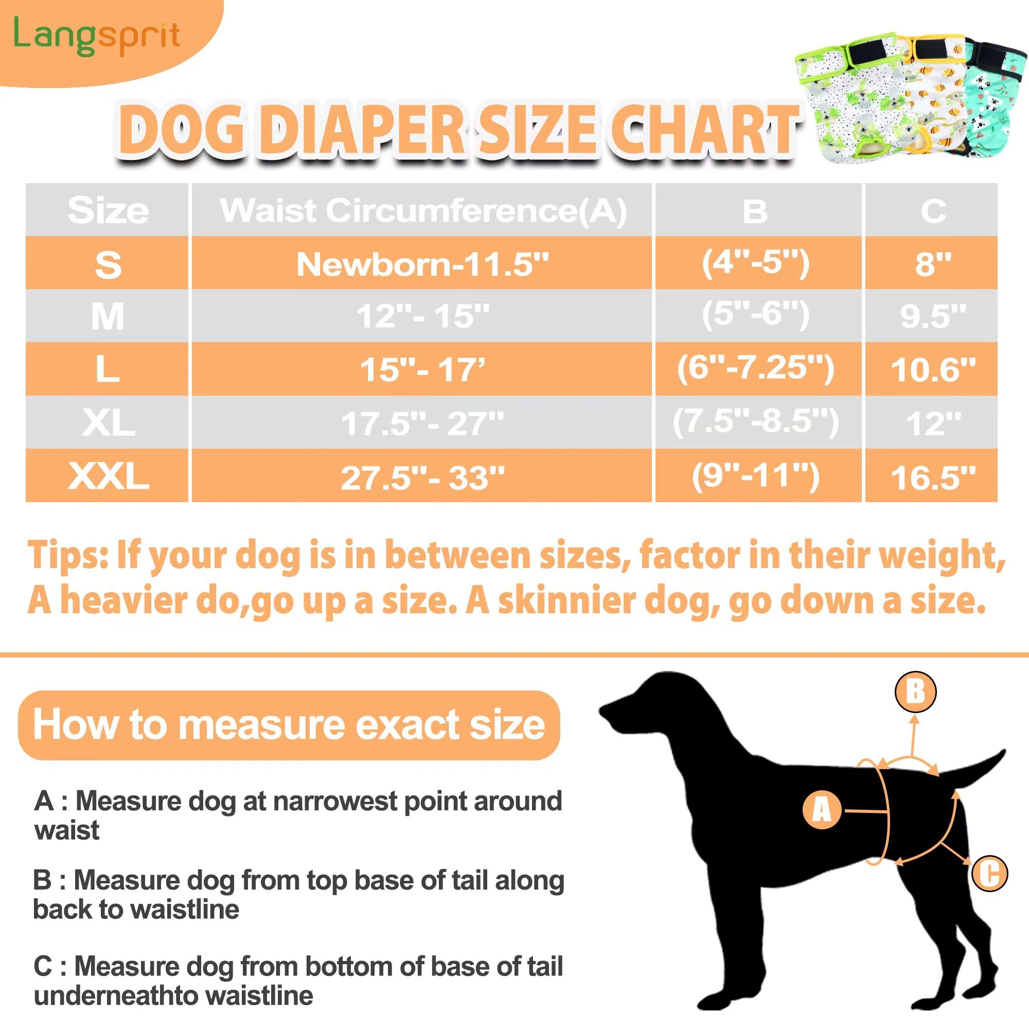 Langsprit female dog diaper showing its Koala design.