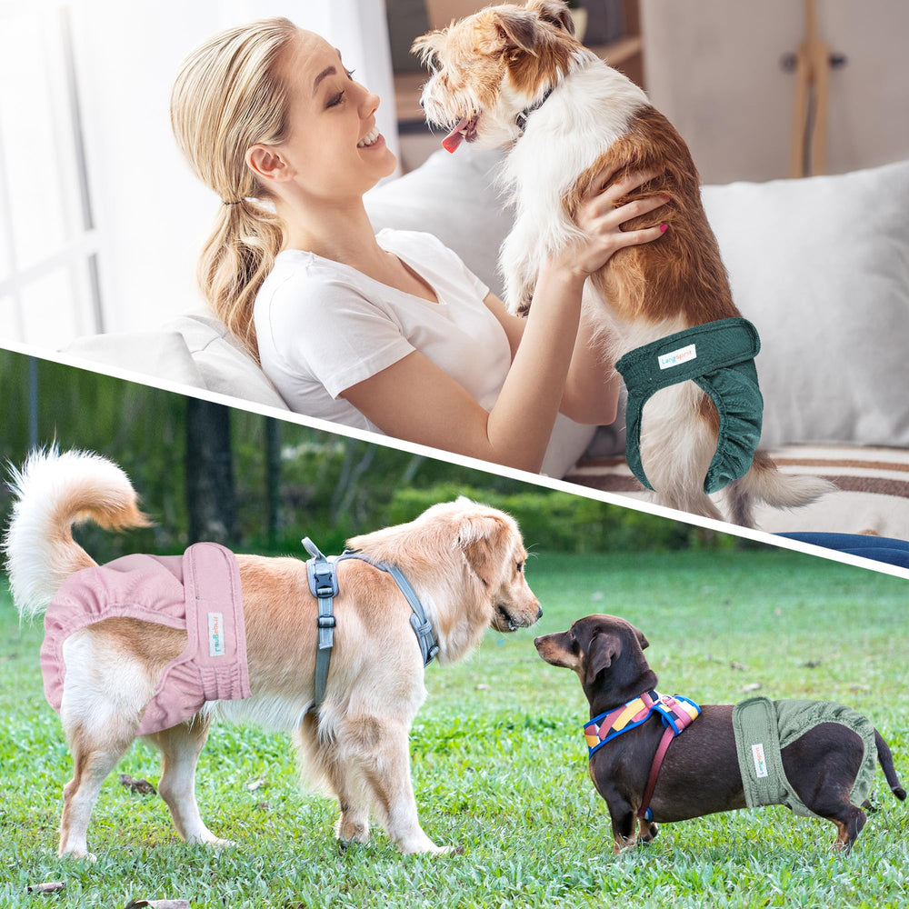 Langsprit washable female dog diapers showing the tail opening.