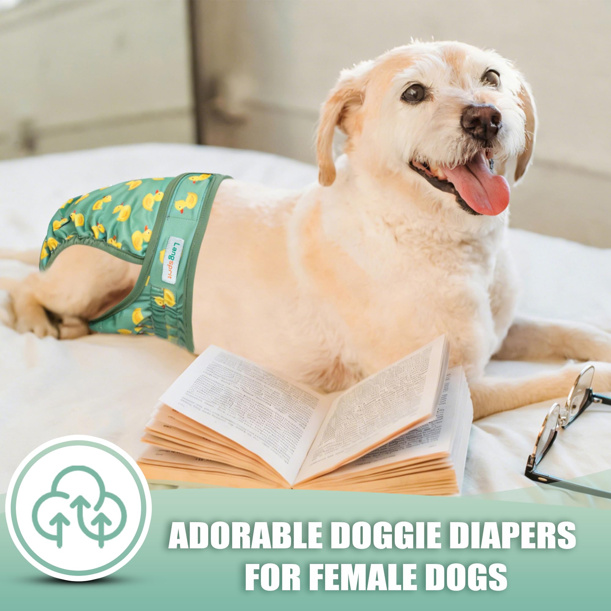 Langsprit female dog diapers shown being worn by a dog.