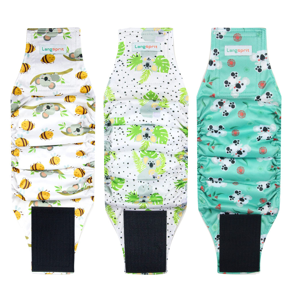 Langsprit male belly bands shown from the front in the Koala pattern.