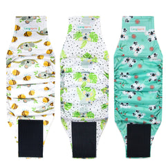 Langsprit male belly bands shown from the front in the Koala pattern.