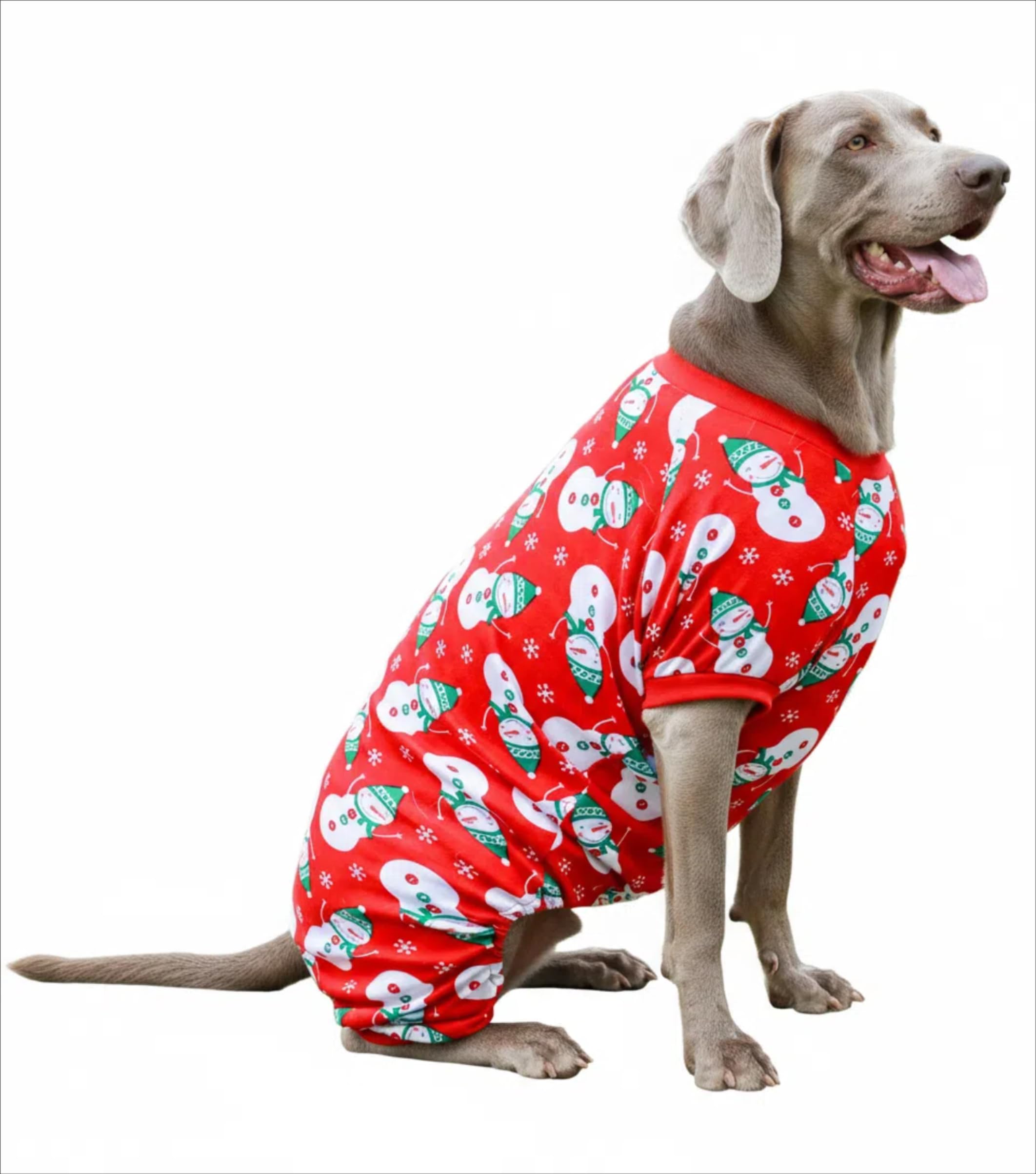 Lanyarco dog Christmas pajamas shown from the back to display the full jumpsuit design.