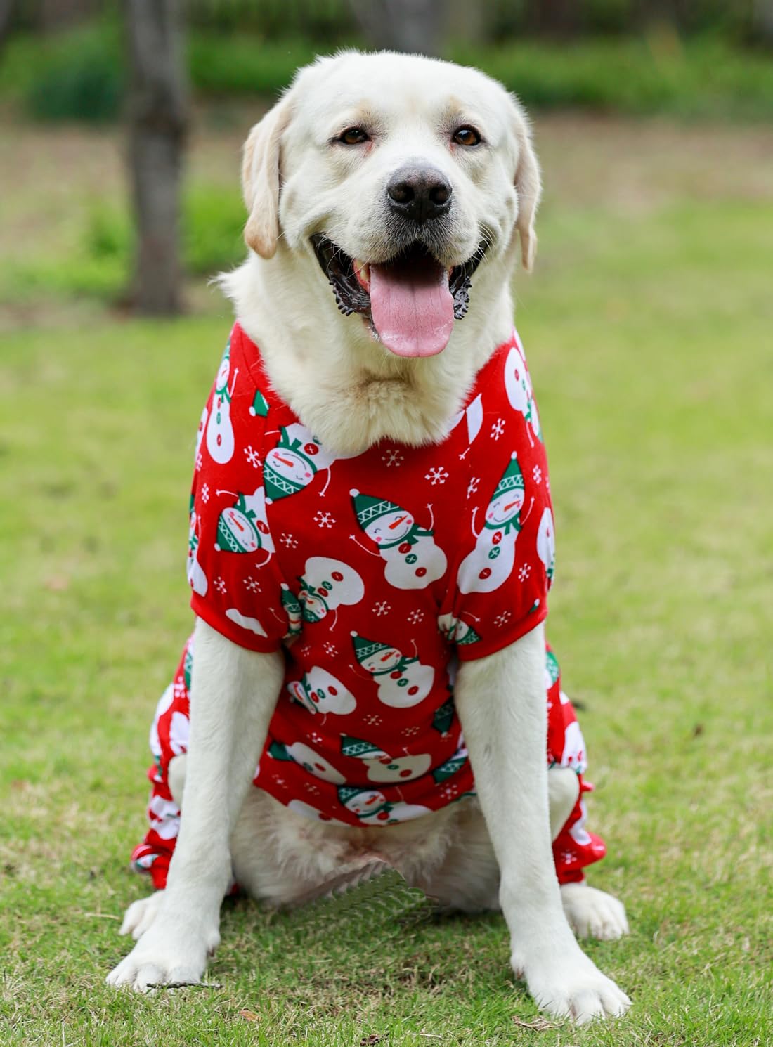 Lanyarco dog Christmas pajamas size guide showing the XLarge back, neck, and chest measurements.